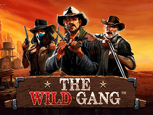 The Wild Gang game icon