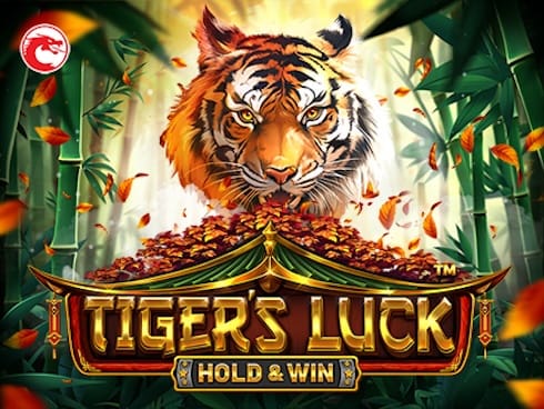 Tiger's Luck - Hold and Win game icon